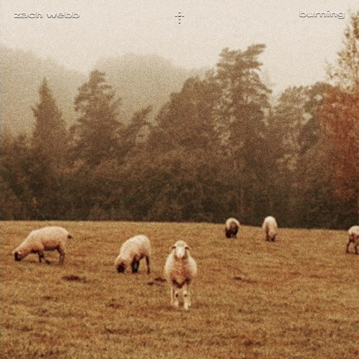 Album artwork
