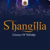 Essence of Worship - Tunaleta Sifa