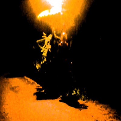 Echanted Park - Single