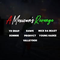 A Mexican's Revenge (feat. RAWK, Mick Da Beast, Sonniie, Prodvct, Young Hadez & Valleyboii) - Single - YD Snap