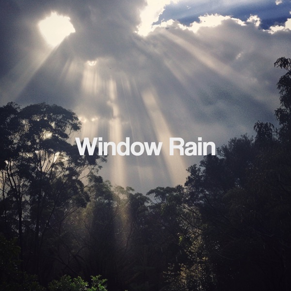 Window Rain