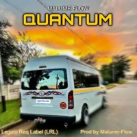 Quantum (feat. Young flow) - Single - Dj Mashonza himself