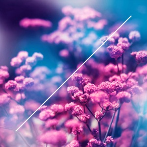 True Colors - Single