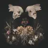 BLACK BIRCH - Fallen