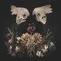Black Birch - Fallen