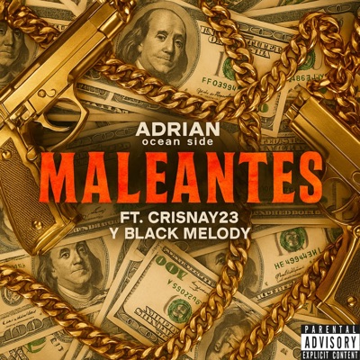Maleantes (feat. Crisnay23, Black Melody & Creadores Inc Music) - Single