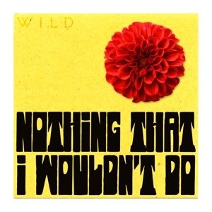 Nothing That I Wouldn’t Do - Single
