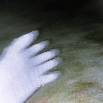 Thanatophobia - Single
