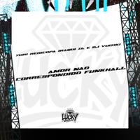 Amor Não Correspondido Funkhall - Single - Yuri Redicopa, Iraqui Zl & DJ Vuiziki