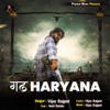 Gadh Haryana (feat. Amit Baisla) - Single