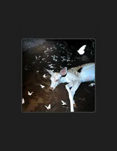 Hör dir sai nara an, schau dir Musikvideos an, lies die Biografie, finde Tourdaten und mehr!