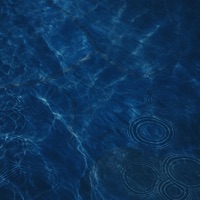 AGVA - Single - Violeta