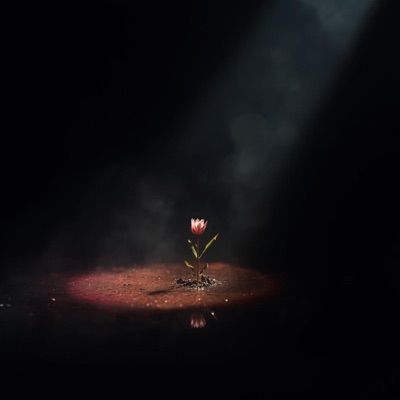 Growing Through Shadows - Single