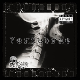 Vertebrae Leadgeon