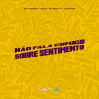 Não Fala Comigo Sobre Sentimento - Single - Mc Elison SP, MC BZ & MC Nuno VJ