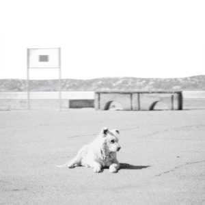 Stray - Single