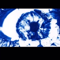 Ortho - Single - Cisneros