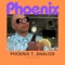 Chandler - Phoenix T. Analog lyrics