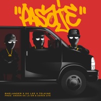 Pasaje (feat. Bhelander & Telkine) - Single - Og Lee