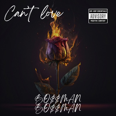 Can't Love - Single