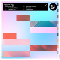 Odyssey - Mallinder