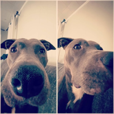 free palestine - Single