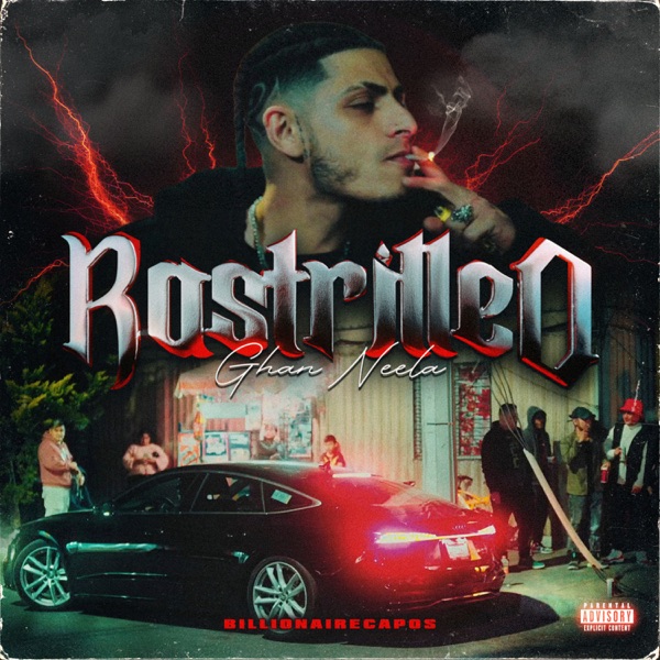 Rastrilleo