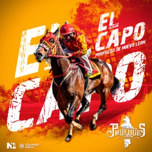 El Capo