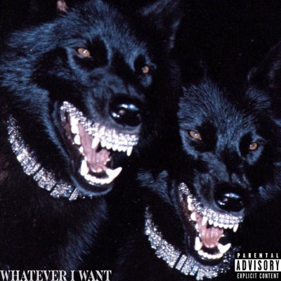 Whatever I Want Freestyle (feat. Bendu & Qwezzz) - Single