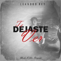 Te dejaste ver - Single - Leandro Rey