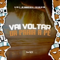 Vai Voltar da Praia a Pé (feat. MC VN Cria) - Single - DJ Voltz, MC Mauricio da V.I & FreesTyle Sounds