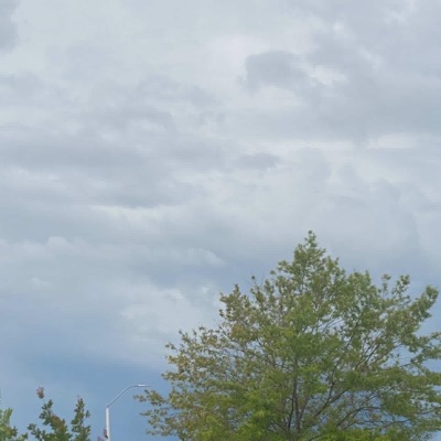 She don't love me anymore (feat. PresenceSloth) - Single