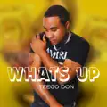 Whats Up
