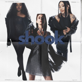 Shook song art