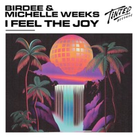 I Feel the Joy - Single - Birdee & Michelle Weeks