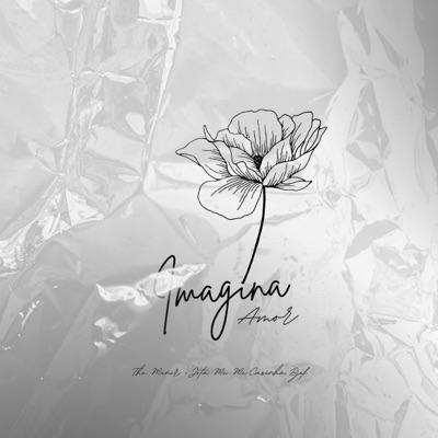 Imagina Amor - Single