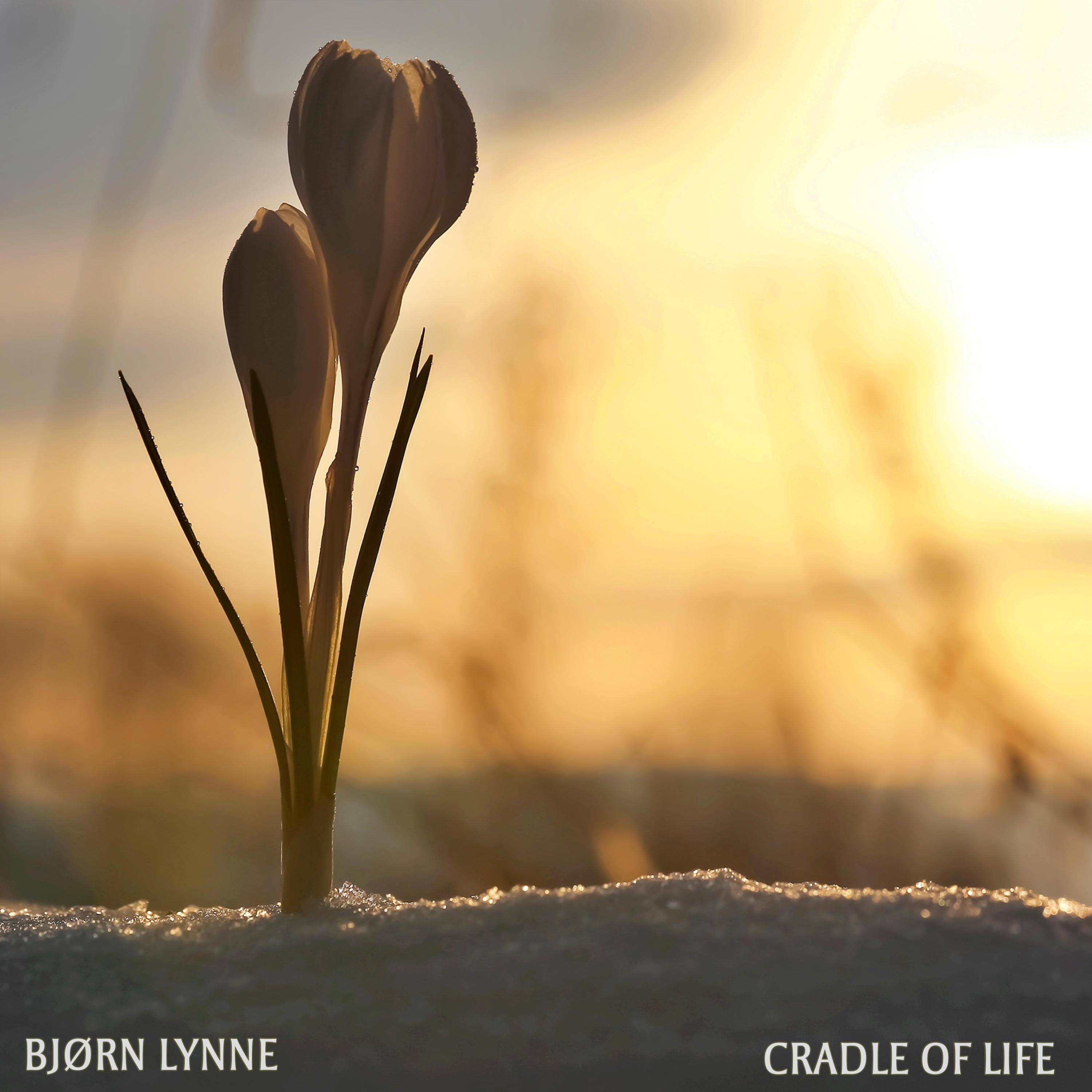 Cradle of Life - Single