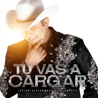 Tú Vas a Cargar - Single - Javier Alejandro El Diamante