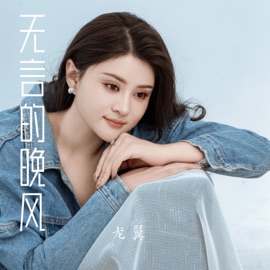 无言的晚风 (伴奏) 龙翼