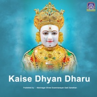 Kaise Dhyan Dharu - Single - Swaminarayan Gadi, Shadhana Sargam & KALYANJI ANANDJI