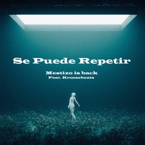 Se Puede Repetir (feat. Mestizo Is Back) [Latin Tech House] - Single
