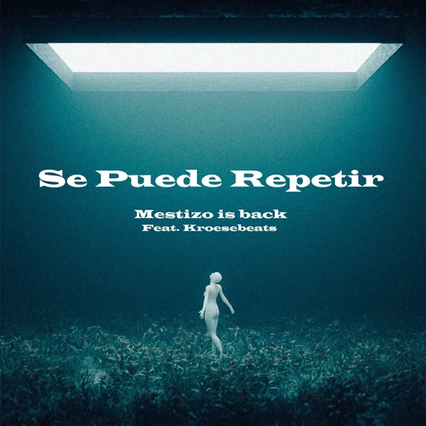 Se Puede Repetir (feat. Mestizo Is Back) [Latin Tech House]