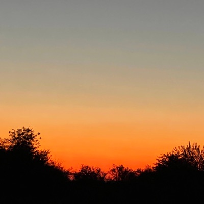 Inima pe fals (feat. Siropmov) - Single