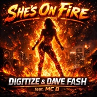Shes on Fire - Single - DAVE FASH & Digitize
