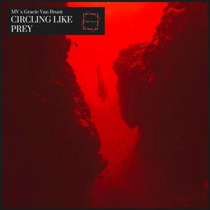 Circling Like Prey - Single