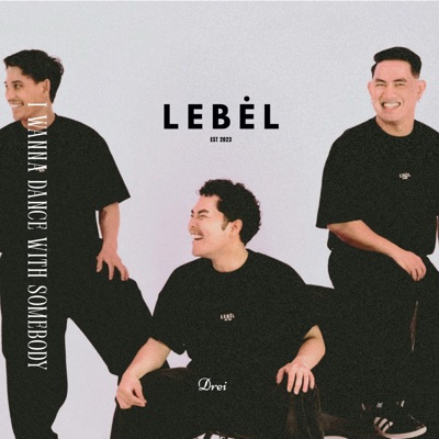 I Wanna Dance With Somebody (Who Loves Me) - Single