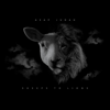 Sheeps to Lions - Asap Judah