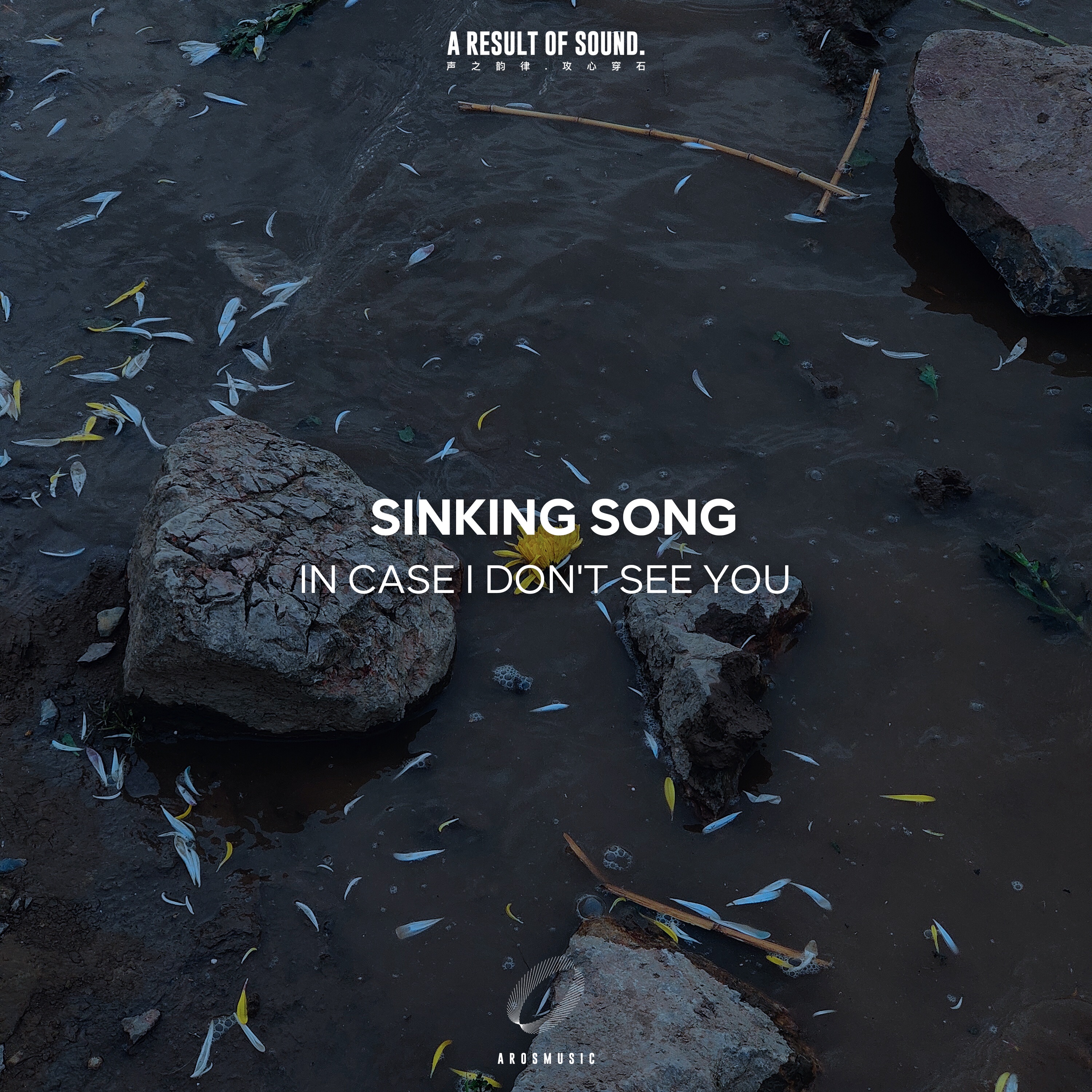 In Case I Don't See You - Single