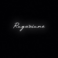 Rugaciune (Saint Paul's Heart) (feat. GeoZen) - Single - PNE Vali