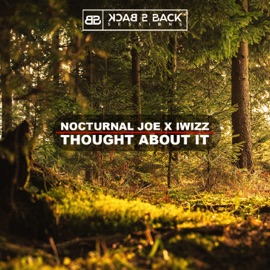I thought about it (Radio Edit) Nocturnal Joe & Iwizz